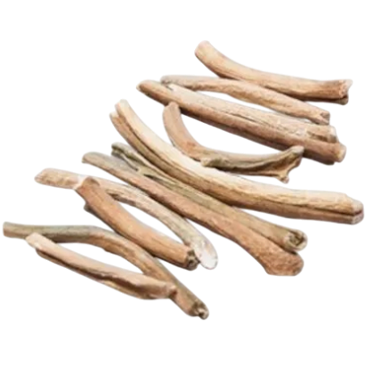 INDIAN CALCUTTI LEAVES